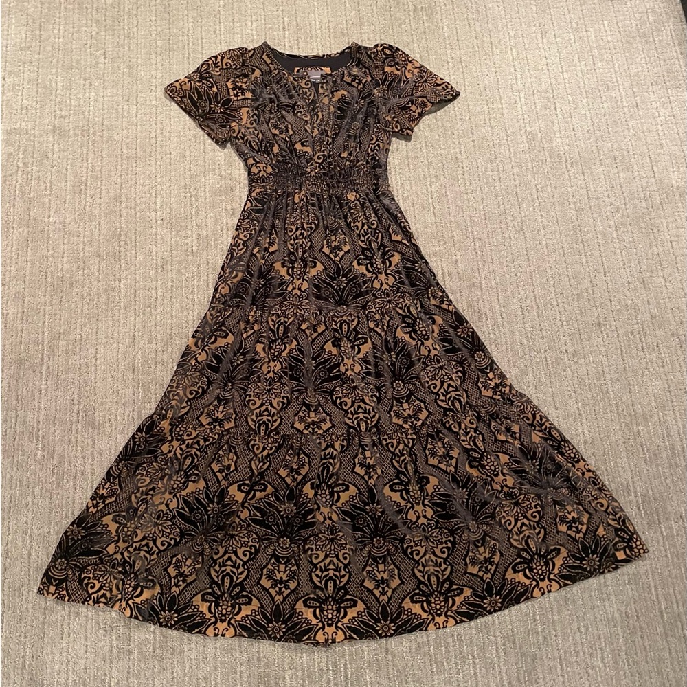 Anthropologie | Tan and Black Velvet Maxi Dress - Picture 8 of 14